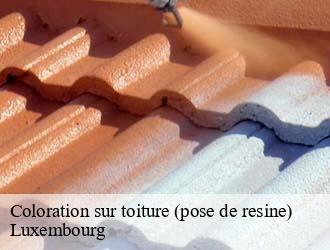 Coloration sur toiture (pose de resine) LU Luxembourg  Eric rénovation 