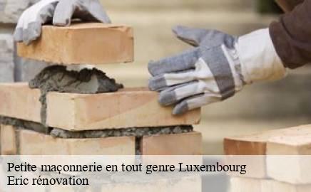 Petite maçonnerie en tout genre LU Luxembourg  Eric rénovation 