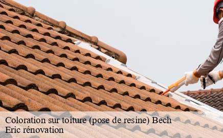 Coloration sur toiture (pose de resine)  bech- Eric rénovation 