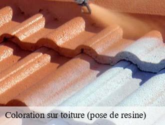 Coloration sur toiture (pose de resine)  bech- Eric rénovation 