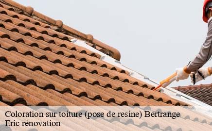 Coloration sur toiture (pose de resine)  bertrange- Eric rénovation 