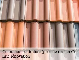 Coloration sur toiture (pose de resine)  consdorf- Eric rénovation 