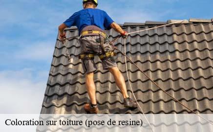 Coloration sur toiture (pose de resine)  helperknapp- Eric rénovation 