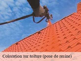 Coloration sur toiture (pose de resine)  helperknapp- Eric rénovation 