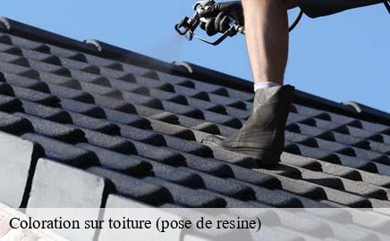 Coloration sur toiture (pose de resine)  helperknapp- Eric rénovation 