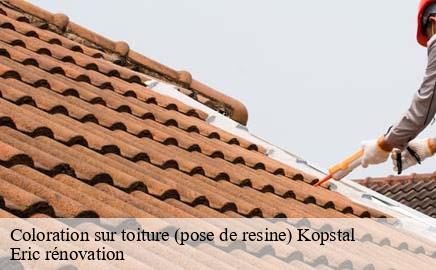 Coloration sur toiture (pose de resine)  kopstal- Eric rénovation 