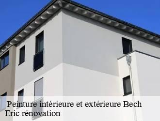  Peinture intérieure et extérieure  bech- Eric rénovation 