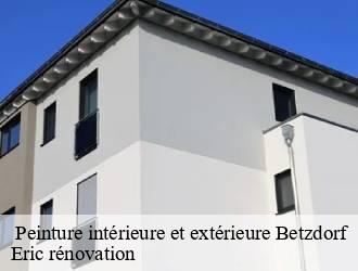  Peinture intérieure et extérieure  betzdorf- Eric rénovation 