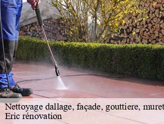 Nettoyage dallage, façade, gouttiere, muret, toiture  feulen- Eric rénovation 