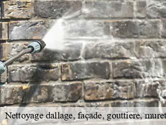 Nettoyage dallage, façade, gouttiere, muret, toiture  feulen- Eric rénovation 