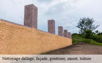 Nettoyage dallage, façade, gouttiere, muret, toiture nommern- Eric rénovation