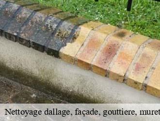 Nettoyage dallage, façade, gouttiere, muret, toiture  petange- Eric rénovation 